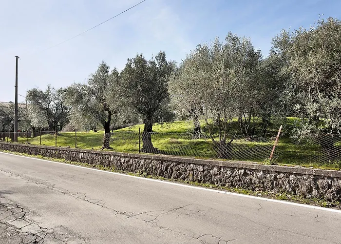 Casa Tra Gli Ulivi Vicino Al Mare Vakantiehuis