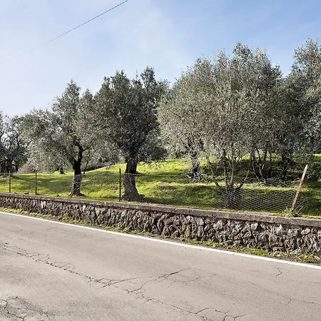 Casa Tra Gli Ulivi Vicino Al Mare * Seravezza